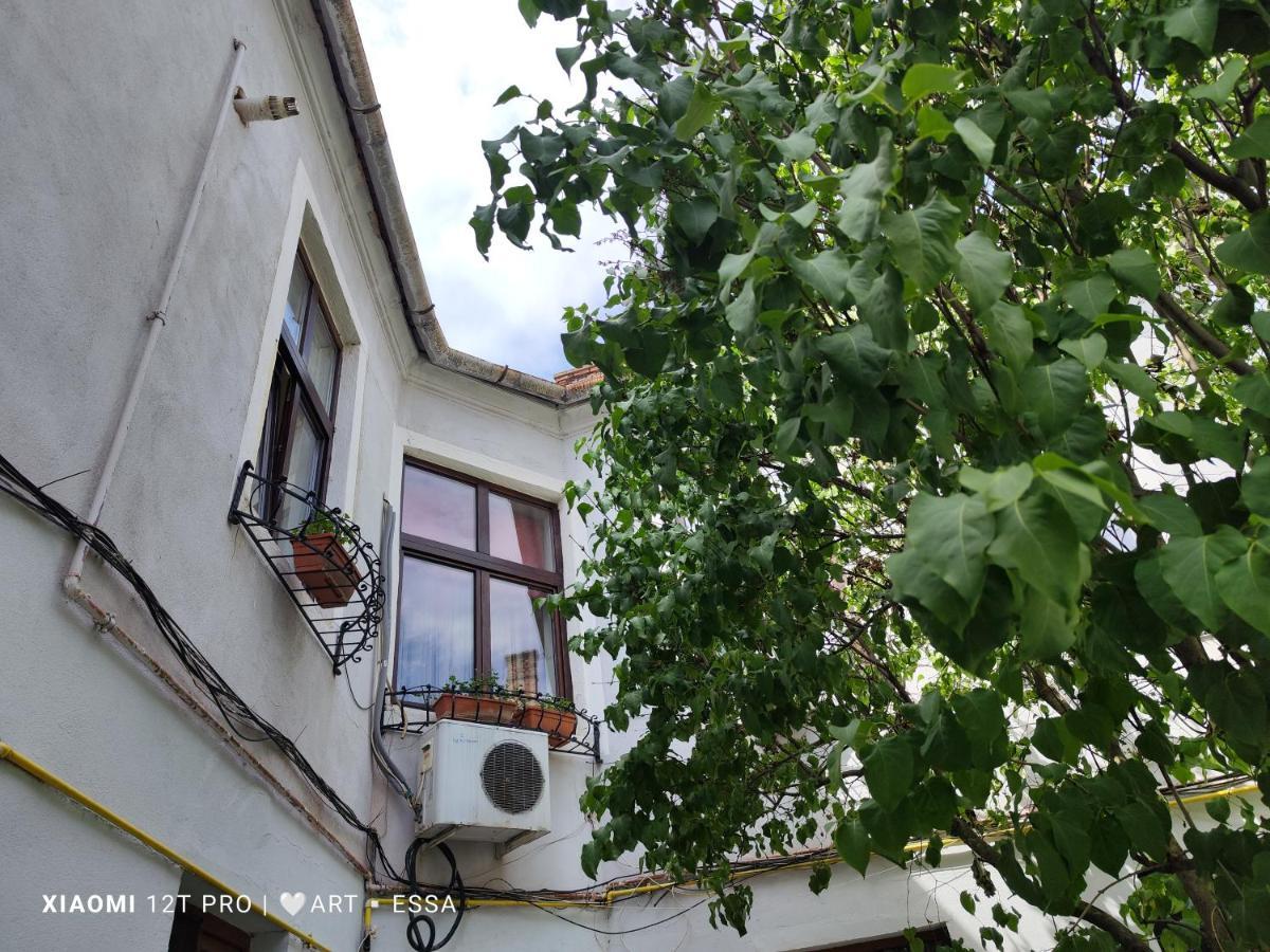 Apartament Buon Gusto,Near Main Square And Liar Bridge,Historical Side Of City Center סיביו מראה חיצוני תמונה