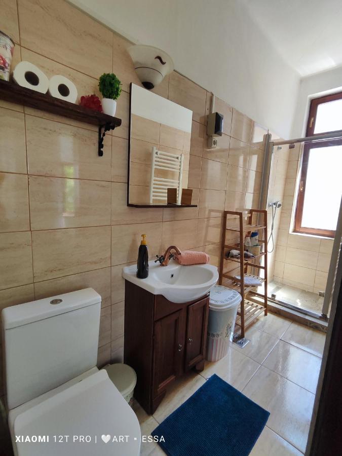 Apartament Buon Gusto,Near Main Square And Liar Bridge,Historical Side Of City Center סיביו מראה חיצוני תמונה
